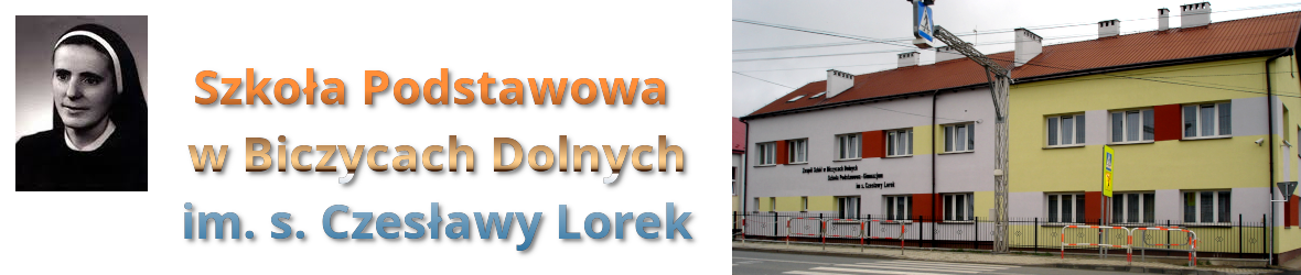 Szkoła Podstawowa w Biczycach Dolnych - zdjęcie szkoły